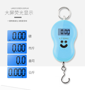 Bilancia pesapersone ad alta precisione funzione di peso digitale delle celle di carico ABS + acciaio inossidabile elettronico digitale da viaggio Mini 50KG portatile