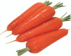 新作物中国胡萝卜包装10千克/纸箱