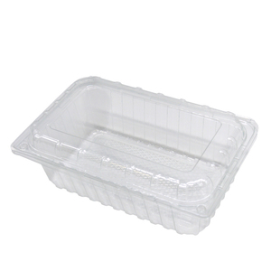 disposable plastic food packaging container take away fresh fruit clamshell packing box on sale