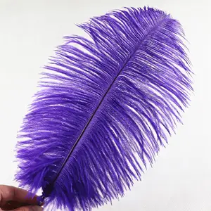 CheapTop Quality 14-16in/35-40cm Dyed Purple Ostrich Plume Feathers for Carnival Garment