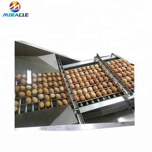 <strong>Egg</strong> Washer Cleaning Machine From Graded Chicken <strong>Egg</strong> Process Line