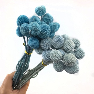 Boule d'or préservée <span class=keywords><strong>fleurs</strong></span> <span class=keywords><strong>séchées</strong></span> Billy boules boutons pour noël pâques décoration de la maison <span class=keywords><strong>Bouquet</strong></span> 20 pièces/paquet - Product Image 4