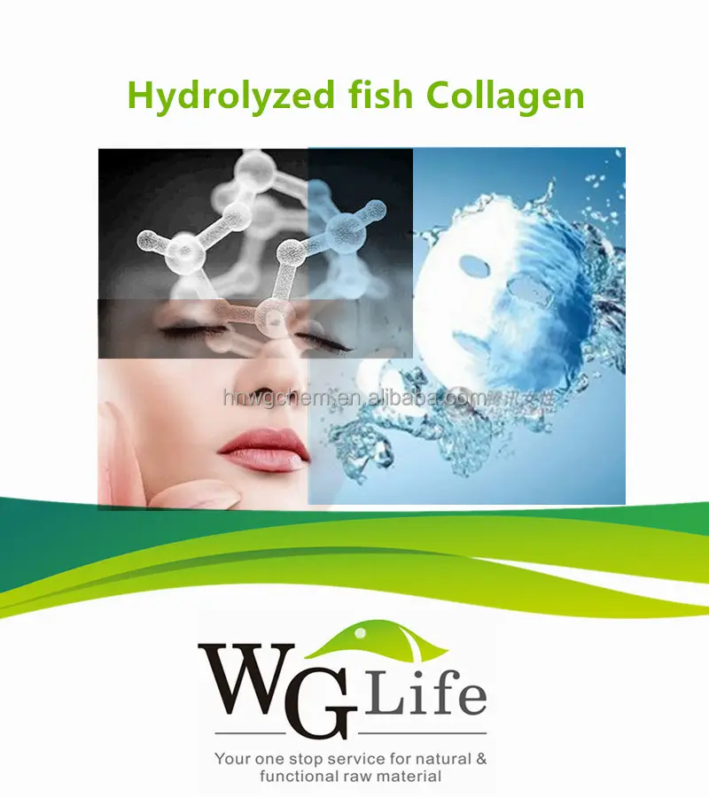 100% الأسماك تحلل الكولاجين cas 9064-67-9 المكونات في السائبة التجميل