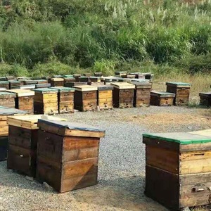 <span class=keywords><strong>Polen</strong></span> de abeja de Nueva Zelanda, primer grado alimenticio, <span class=keywords><strong>precio</strong></span> al por mayor, superventas - Product Image 6