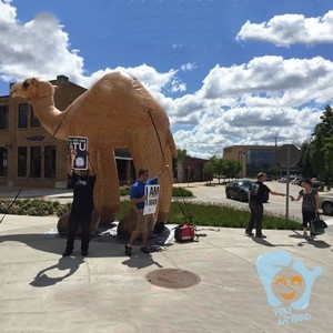 Tùy chỉnh ngoài trời quảng cáo lớn Inflatable lạc đà - Product Image 3