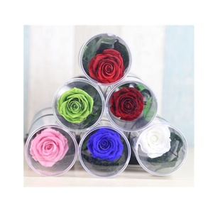 <span class=keywords><strong>Rosas</strong></span> Preservadas en Caja <span class=keywords><strong>de</strong></span> PVC <span class=keywords><strong>de</strong></span> 35 Colores Personalizadas <span class=keywords><strong>de</strong></span> Fábrica, con <span class=keywords><strong>Tallo</strong></span>, para San Valentín y Bodas, Conservación con Glicerina, <span class=keywords><strong>Precio</strong></span> <span class=keywords><strong>de</strong></span> Fábrica - Product Image 2
