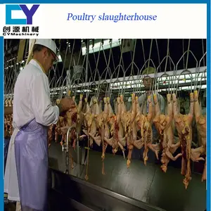 Equipos de procesamiento de aves de corral de sacrificio Para El matadero de <span class=keywords><strong>pollos</strong></span> - Product Image 1