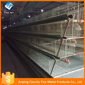 Baixo preço da avicultura gaiolas de frangos de corte plano de negócios para avicultura