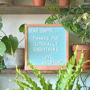 10x10'' Rustic Custom Colorful Felt Changeable Letter <strong>Board</strong> with Stand Black Wall Hook Hot Sale Felt Letter <strong>Board</strong> - Product Image 4