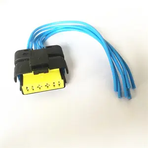 6 p sicma pedaal FCI connector voor peugeot citroen toyota kabelboom