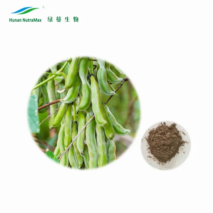 Wholesale High Quality Mucuna Pruriens Extract Bulk Herb Extract