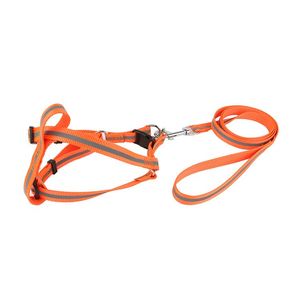 Produk baru tali harnes anjing peliharaan Premium desain OEM - Product Image 2