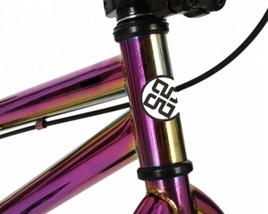 20 Inch Hi-Ten Frame <strong>BMX</strong> <strong>Bike</strong>/ Bicicleta/ Dirt Jump <strong>BMX</strong>/ SY-FS2090 - Product Image 3