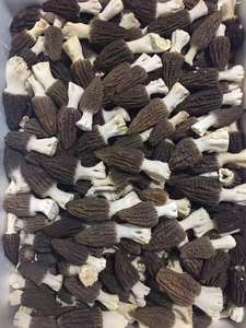 Harga Pabrik Jamur Morel Kering Jamur Morel Kering untuk Dijual - Product Image 6