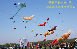 ปรับแต่ง9sqm <span class=keywords><strong>Big</strong></span> Pilot Inflatable Power Kite - Product Image 4