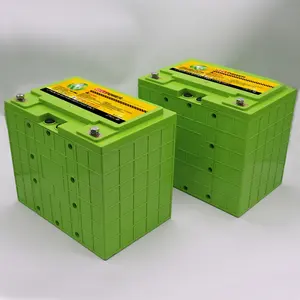 24 v 60ah batteria lifepo4, 60 volt batteria al litio e 48 v/20ah batteria al litio