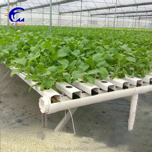 Invernadero Hidropónico de Policarbonato con Sistema de Cultivo para Vegetales - Product Image 6