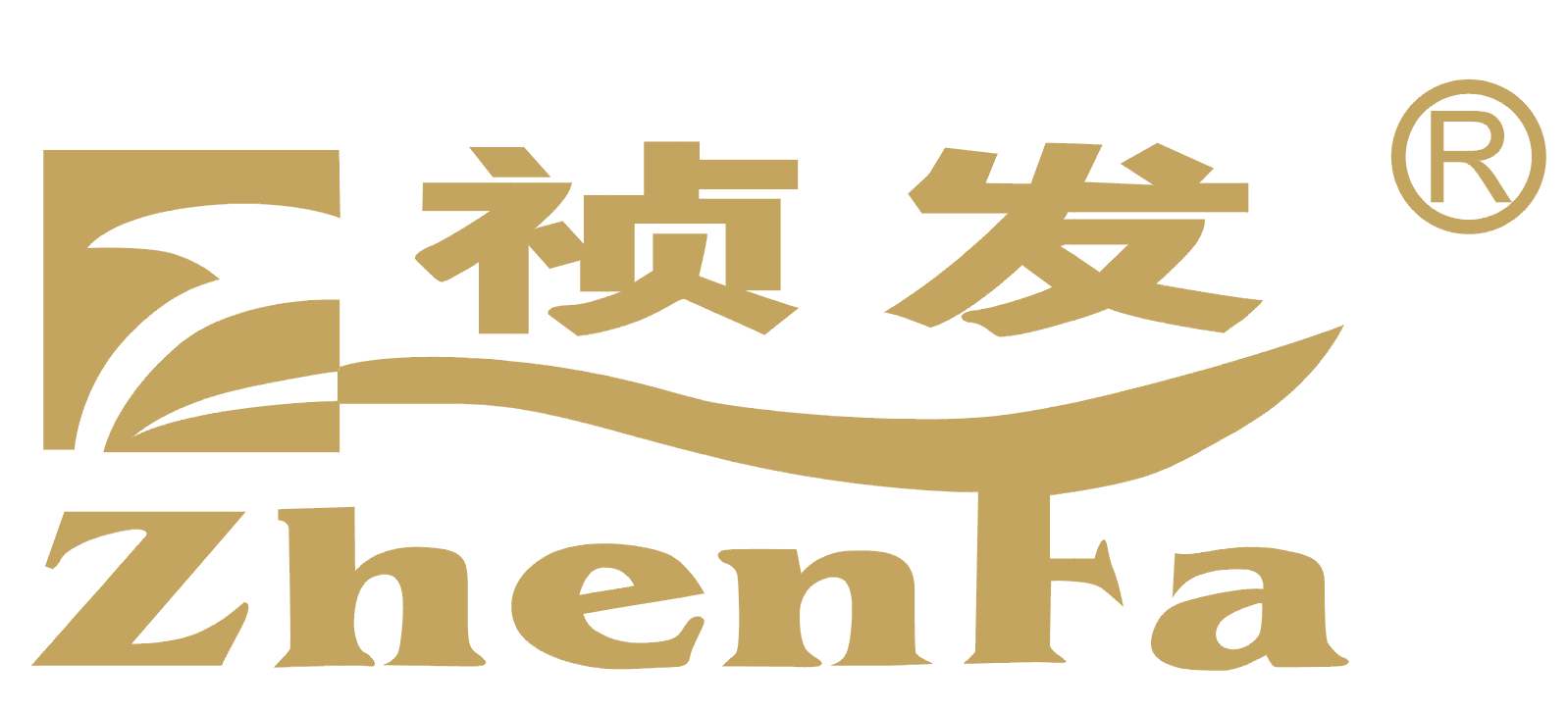 Jieyang Zhentong Electric Appliance Factory logo