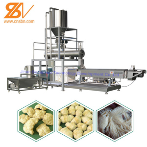 大豆プロテインチャンクマシン/大豆プロテイン製造機 - Product Image 2