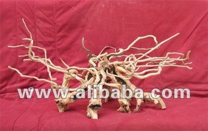 รากต้นไม้น้ำจริง - Product Image 2