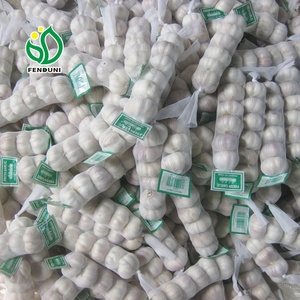 Aglio fornitore dalla cina/AJO ALHO Ail - Product Image 6