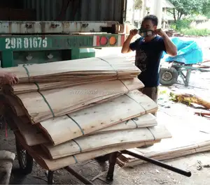 Vietnam sert ahşap ÇEKIRDEK KAPLAMA için çin kontrplak üreticisi