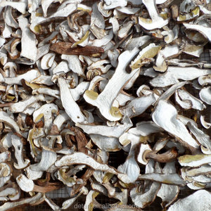 Detan salvaje rebanada seca <span class=keywords><strong>boletus</strong></span> - Product Image 3