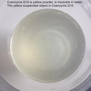 Poudre de collagène Nicebeyond 5000 mg en sachet, prix d'usine - Product Image 6