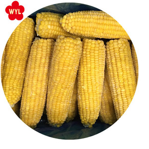 Высококачественные хлопья IQF <span class=keywords><strong>Corn</strong></span> по выгодной цене от New corp - Product Image 1