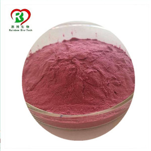 Fornitura arcobaleno 100% gelso naturale frutta in polvere succo di gelso in polvere estratto di gelso frutta - Product Image 2