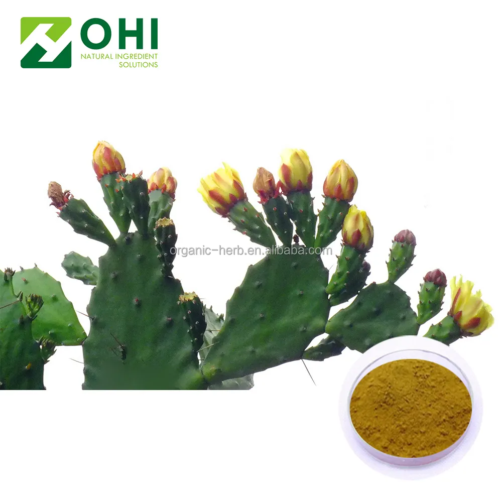 10 minutes quote Cactus Extract powder,Prickly pear extract powder