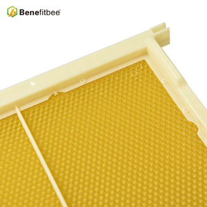 Nhựa Hive Khung Với Lược Nền Tảng Miễn Phí Nhúng Nhựa Tổ Khung - Product Image 4