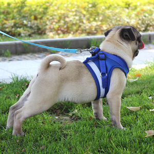 Set tali dan kekang untuk anjing, perlengkapan anjing reflektif nilon ukuran kecil, tali kekang dan perlengkapan anjing - Product Image 2