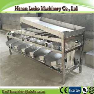 vegetable fruit dates apple melon mango grading processing equipment