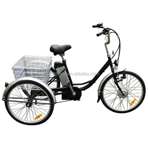 Sepeda Roda Tiga Belanja Elektrik 24 "(FP-ETRI03)