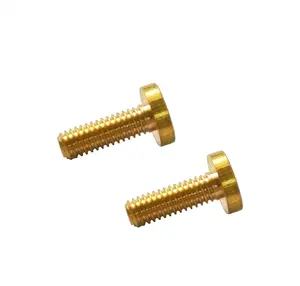 Factory Brass Machinery Round Head Decorative Screw Made in China