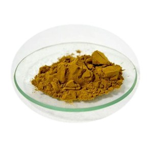 Ekstrak bubuk Rosemary, asam pengawet cerdas alami - Product Image 2