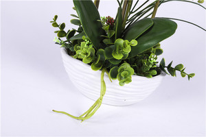 Màu Sắc Tùy Chỉnh Thiết Kế Mới Lan Nhân Tạo Trong Chậu Hoa Bonsai Real Touch Flowers - Product Image 4