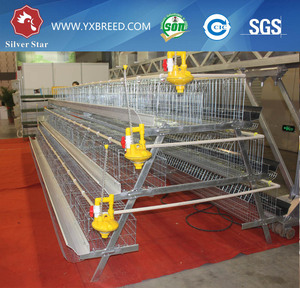 Jaula pollo automática de <span class=keywords><strong>la</strong></span> capa de <span class=keywords><strong>la</strong></span> granja de aves de corral - Product Image 6