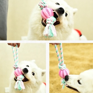 Güzel hayvan oyuncak interaktif köpek oyuncak çiğnemek kedi malzemeleri - Product Image 6