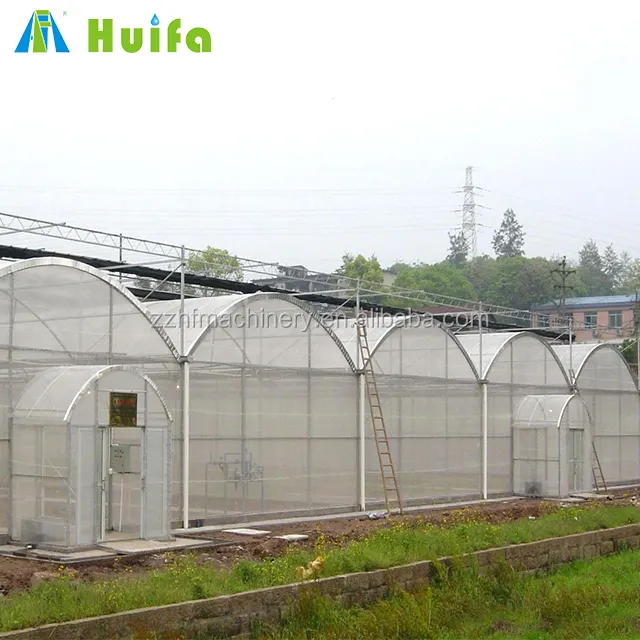 Struttura della serra del Tunnel alto di plastica della serra del pomodoro per l'agricoltura in vendita