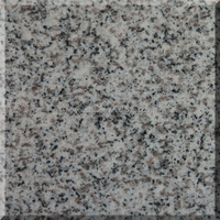 Chine meilleur prix différents types de carreaux de granit 60x60