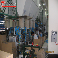 Linea di produzione di polvere detergente/basso investimento linea di produzione di polvere detergente