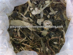 Ensilaje de maíz para alimentación ANIMAL, directo de fábrica - Product Image 4