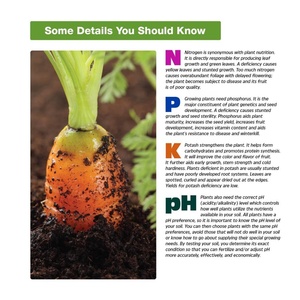 Kit de test de sol <span class=keywords><strong>Rapit</strong></span> pour jardins, légumes, fleurs et pelouses. Analyse rapidement et de manière précise l'acidité du sol et les nutriments. - Product Image 5