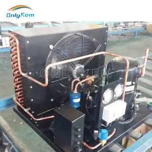 Unidade de condensamento do compressor 5hp