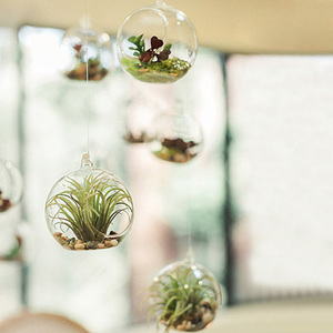 Outdoor Wedding Decor Glass Globe Tealight <strong>Holder</strong>/glass <strong>Hanging</strong> Tealight <strong>Holder</strong> Lantern/<strong>hanging</strong> Glass <strong>Lighting</strong> Decor Favors - Product Image 3