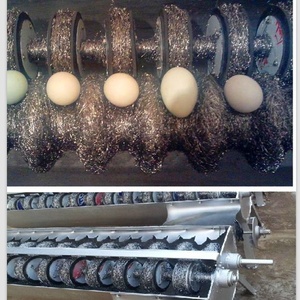 JUYOU Macchina Lavauova Automatica per Galline/Anatre/Macchina per la Pulizia delle Uova per la Lavorazione - Product Image 3