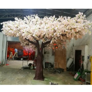 ต้นเชอร์รี่ที่ออกดอกในร่มและกลางแจ้ง - Product Image 2