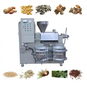 Almondsv Crude Soybean Palm Kernel Nut Argan Sunflower Coconut Rx-120A Cold Press Machine For Oil Extraction